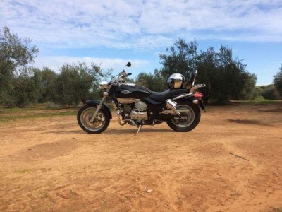 221042288_4.jpg (57.44 KiB) Visto 4283 veces Ruta por los pinares de Aznalcazar