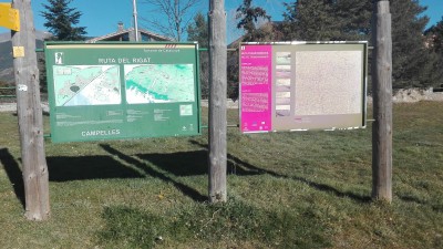 IMG_20171118_111948.jpg