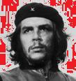 Avatar de Usuario